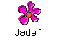 Jade 1
