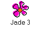 Jade 3
