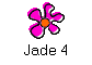 Jade 4