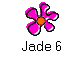 Jade 6