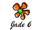 Jade 6