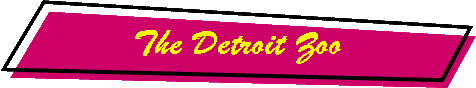 The Detroit Zoo